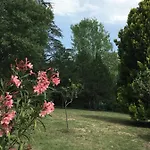 Bed & Breakfast Basisa