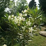 Bed & Breakfast Basisa San Lazzaro di Savena