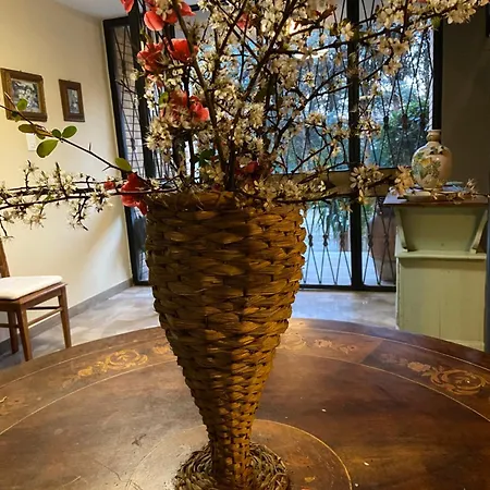 Basisa Bed & Breakfast *