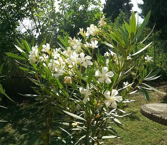 Bed & Breakfast Basisa San Lazzaro di Savena