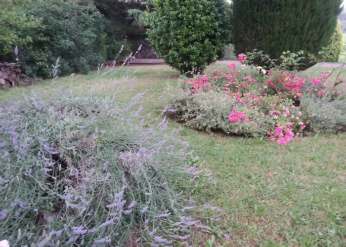 Basisa San Lazzaro di Savena