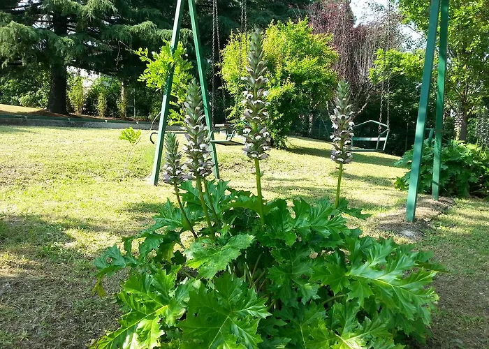 Basisa Bed & Breakfast *