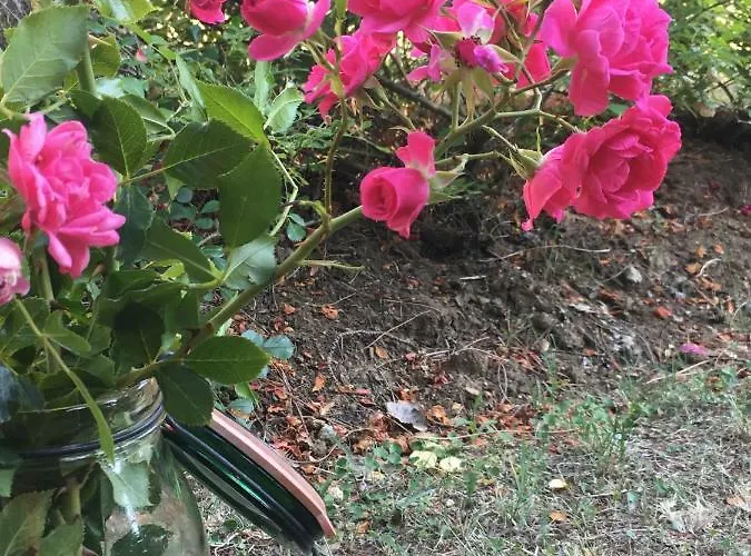 Frühstückspension Basisa *