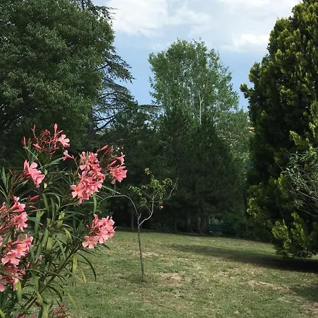 Bed & Breakfast Basisa