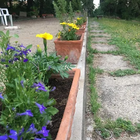 Bed & Breakfast Basisa San Lazzaro di Savena