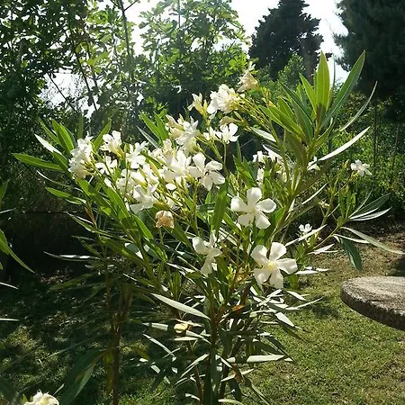 Bed & Breakfast Basisa San Lazzaro di Savena