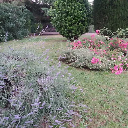 Basisa San Lazzaro di Savena