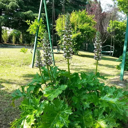 Basisa 住宿加早餐酒店 *