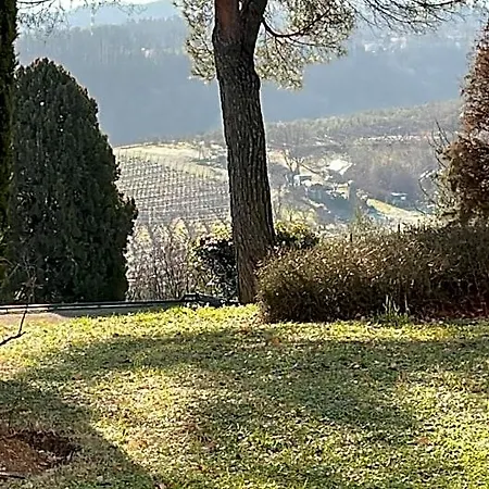 Basisa * San Lazzaro di Savena