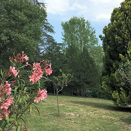 Basisa Bed and breakfast