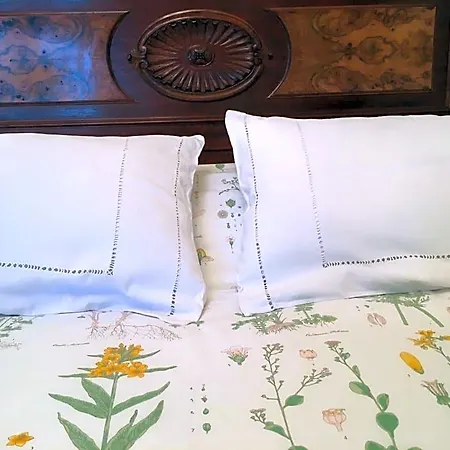 Bed and breakfast Basisa *