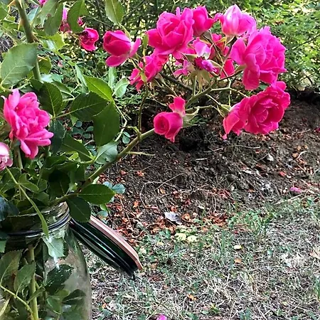 Basisa Bed and breakfast San Lazzaro di Savena