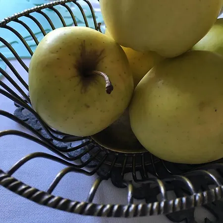 Basisa Frühstückspension