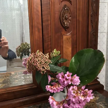 Basisa Bed & Breakfast