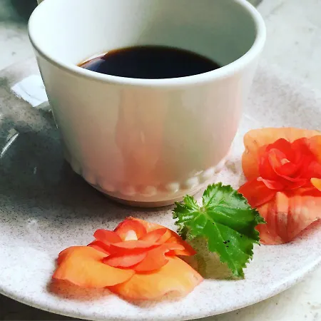 Basisa San Lazzaro di Savena