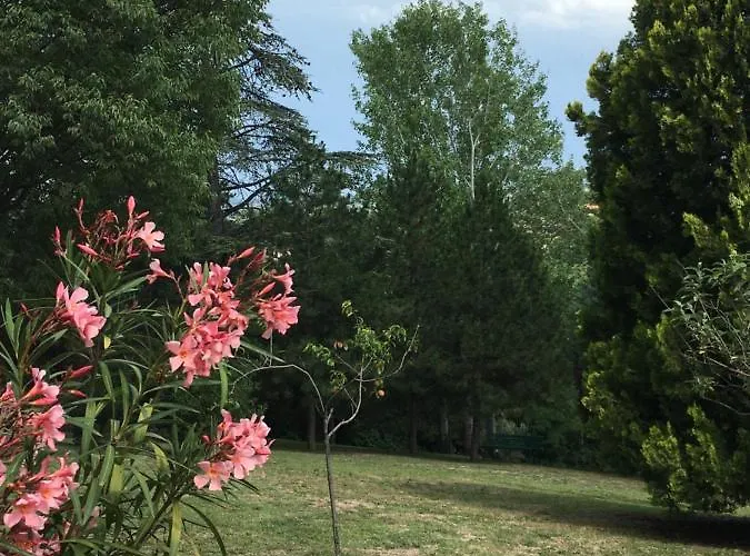 ベッド・アンド・ブレックファスト Basisa