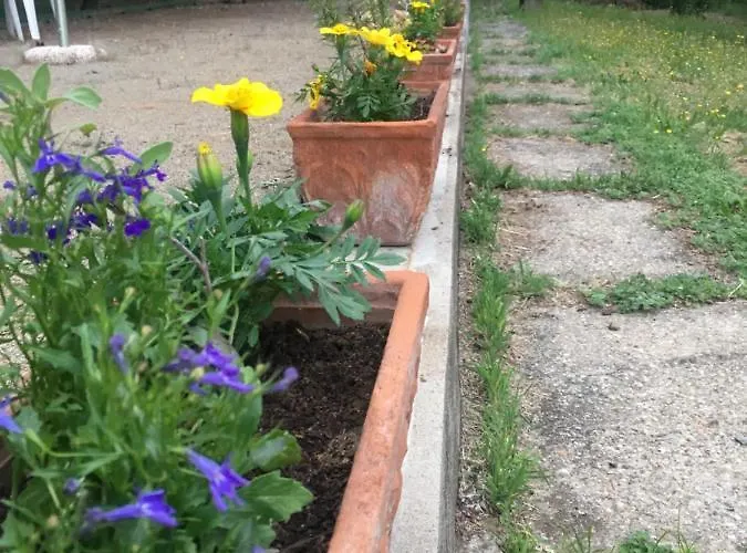 Bed & Breakfast Basisa San Lazzaro di Savena