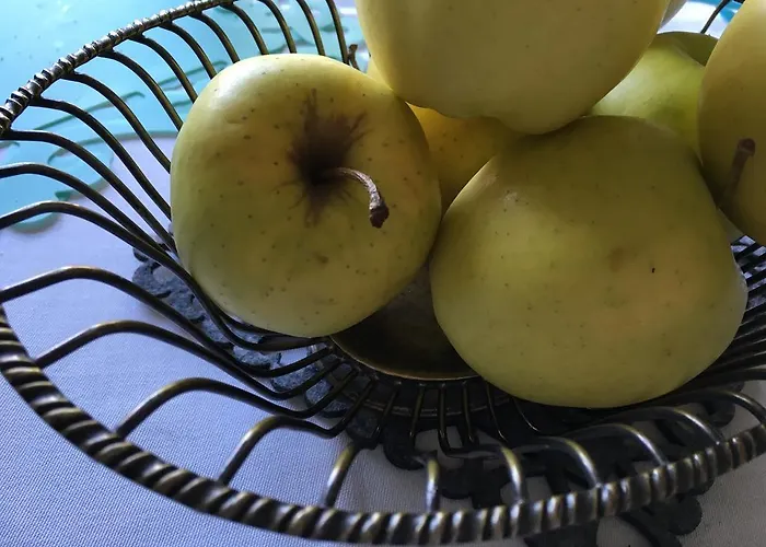 Basisa ベッド・アンド・ブレックファスト