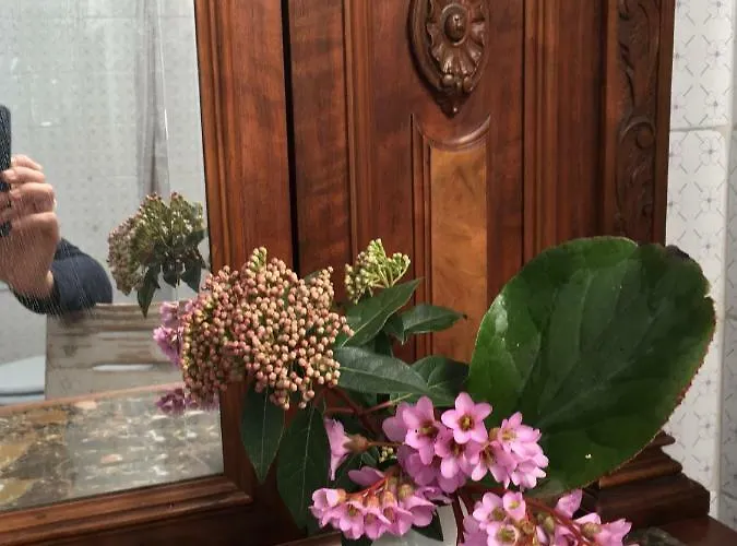 Basisa Nocleg ze śniadaniem